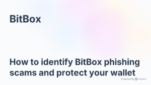 Blockchain Forensic Audit of h5.bitboxn.com recovery scam and LST syndicate wallet clusters.