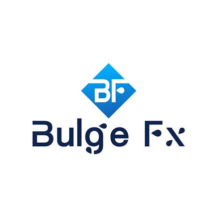 Bulgefx.com Exposed: Bulge Group Investments Limited Withdrawal & Regulation Audit