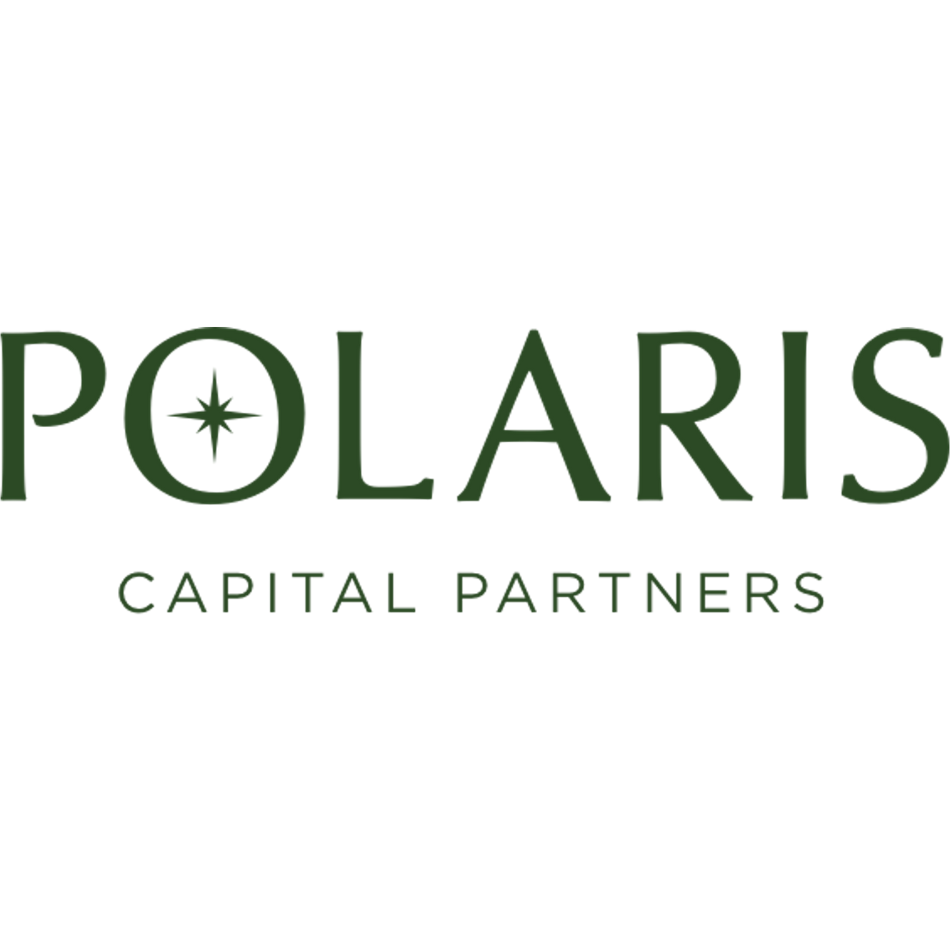 Forensic Due Diligence Review: Polaris Capital Consulting Group